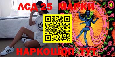 дживик Кандалакша