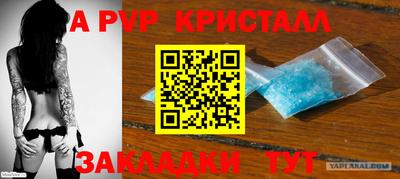 шишки Кимры